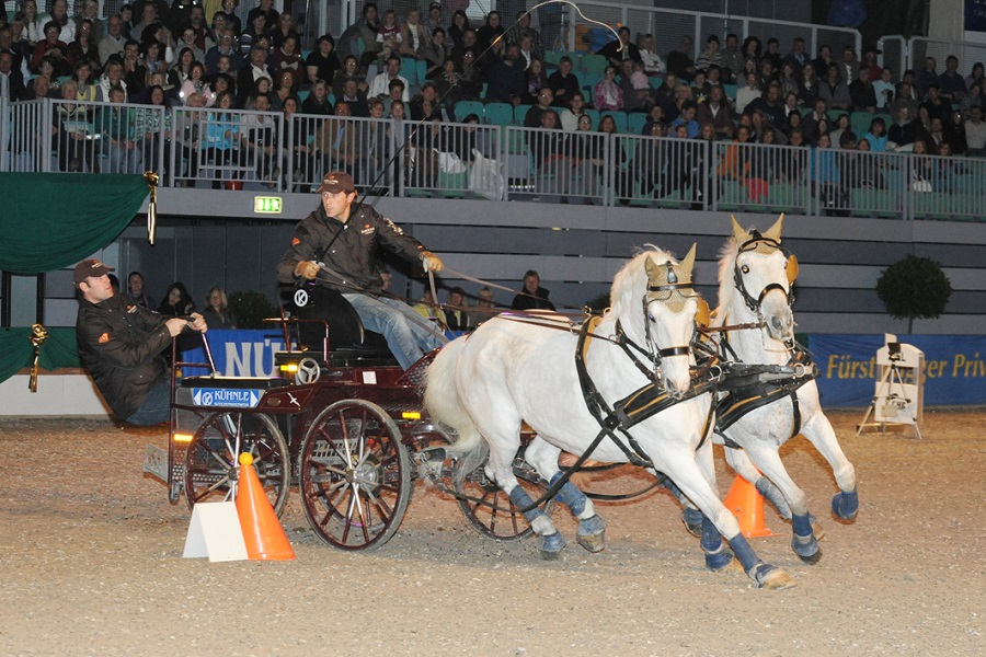 馬展，德國馬展，馬匹比賽